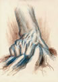 Michael Hensley Drawings, Human Hands 3